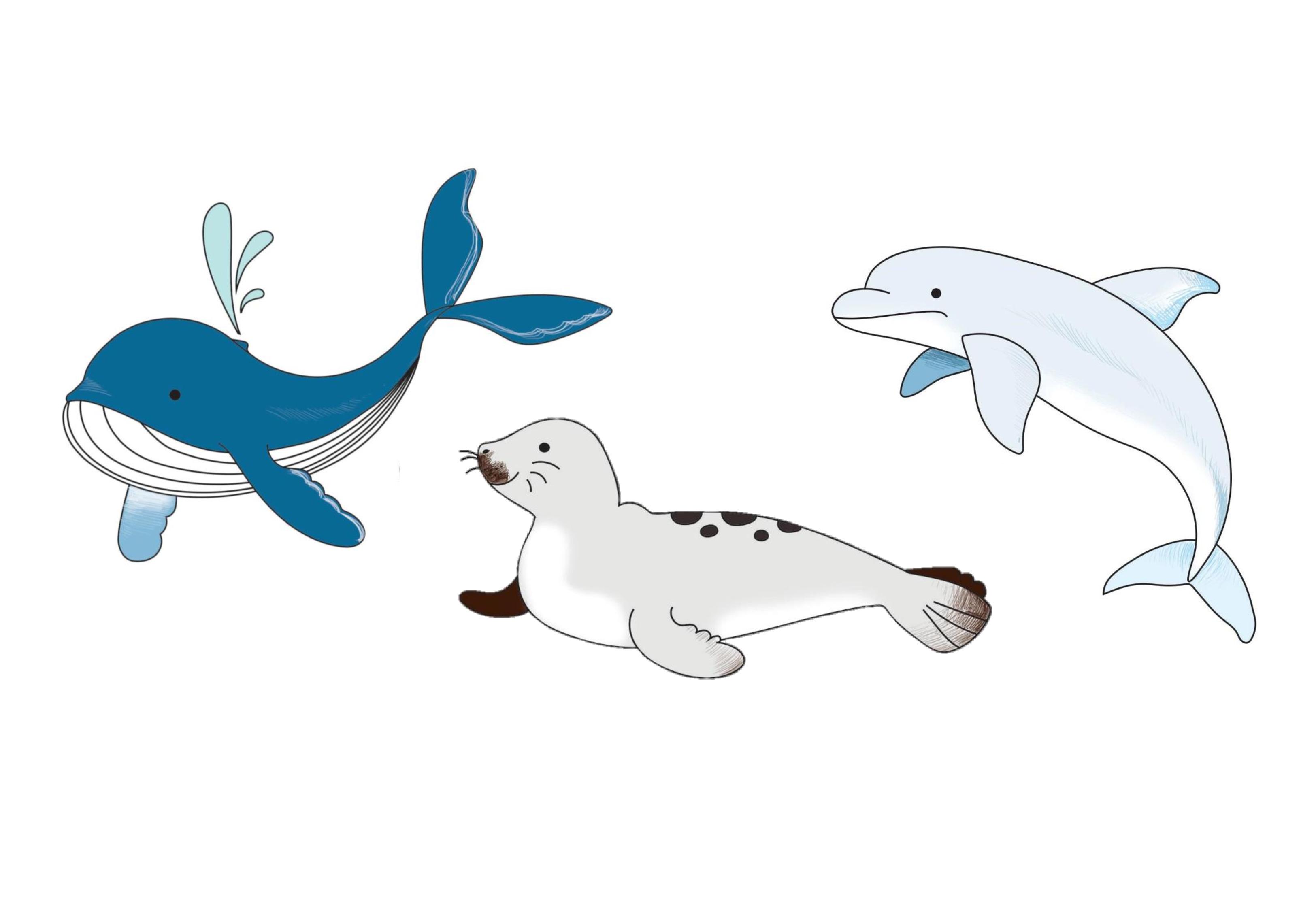 Aprender a dibujar animales marinos en 5 pasos