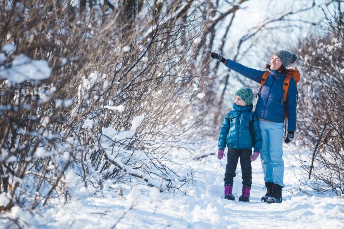 ¿Cómo pasan los árboles el invierno?